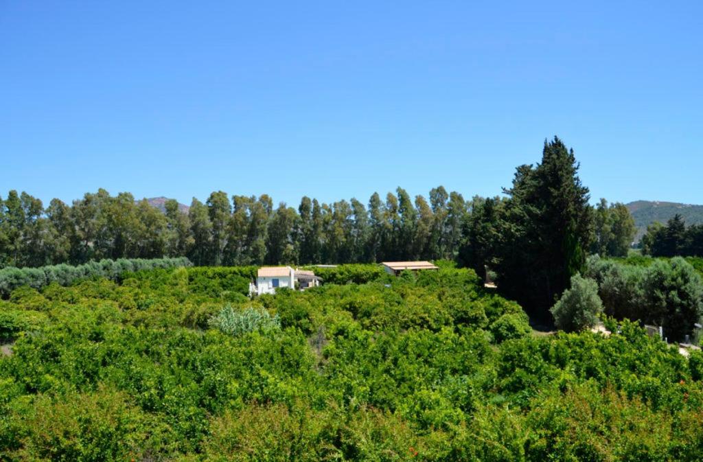 Luna&Limoni Country Muravera Exterior foto