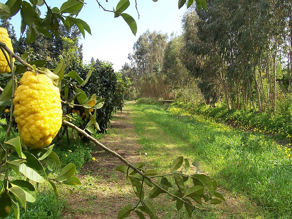 Luna&Limoni Country Muravera Exterior foto