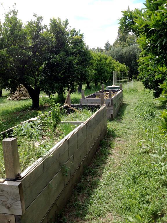 Luna&Limoni Country Muravera Exterior foto